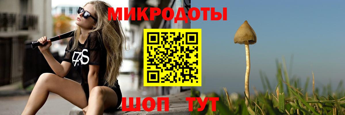 Бутурлиновка  Псилоцибиновые грибы ЛСД  Вход с VPN 